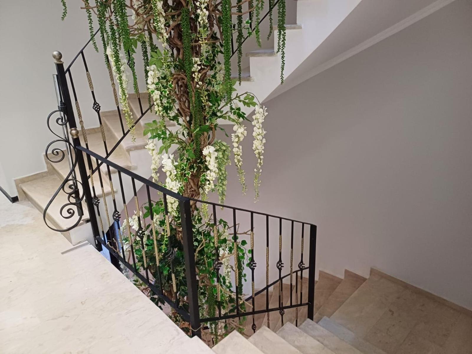 Oxygen Boutique Hotel ティラナ エクステリア 写真